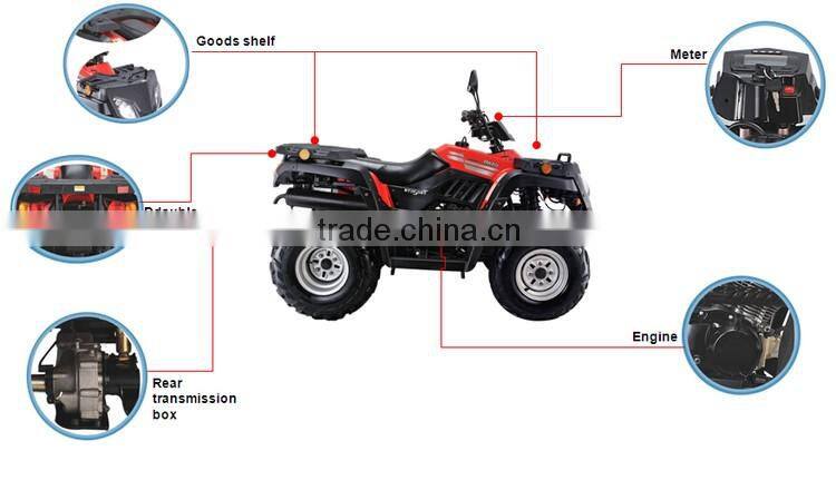 China wholesale 2016 new utility water ATV