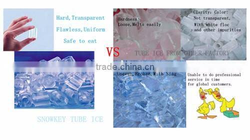 Qualited Sanitary & edible ice Small capacity Tube Ice machine (1T 20T 30T/D) from Snowkey