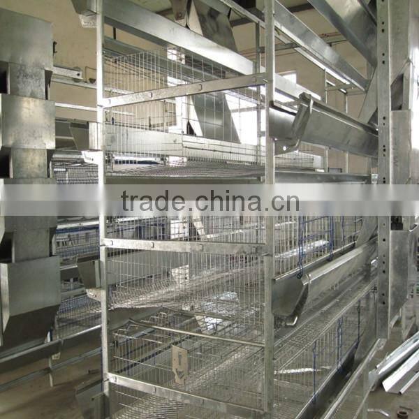 galvanized welded wire layer poultry chicken for sale
