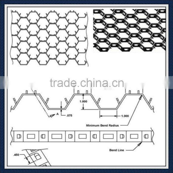 China cheap Stainless Steel Hexagonal Wire Netting/ fence netting/ woven mesh/ animal catching nets