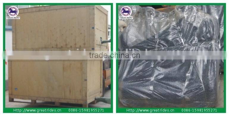 amusement electric trains for adults