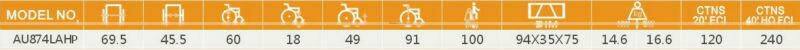 AU874LAHP wheelchair for cerebral palsy children