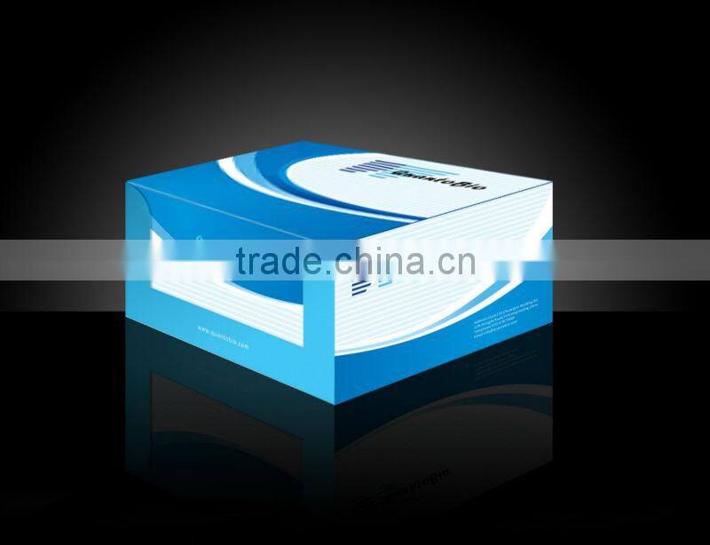 Logo printed paper box for mobile phone / Custom packaging paper box for cell phone