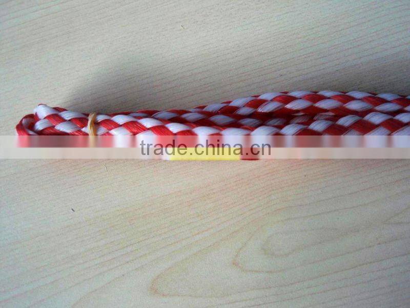Diamond PP Color Braided Rope