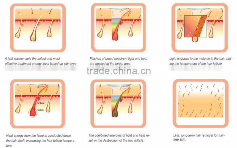 vertical type SHR/ IPL beauty machine, IPL hair removal machine