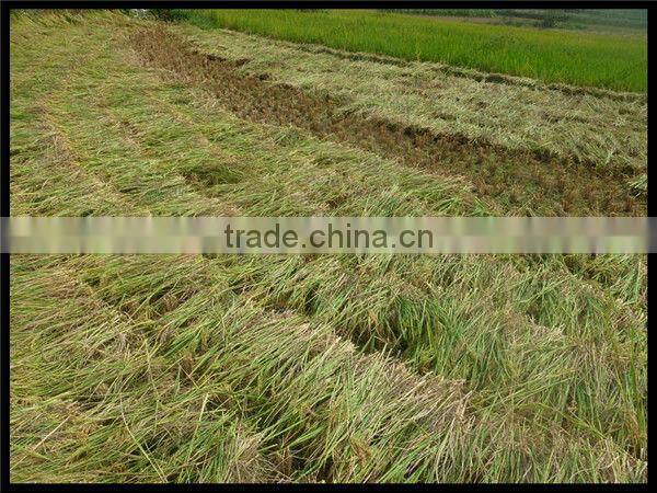 Low price rice reaper 0086-15037185761