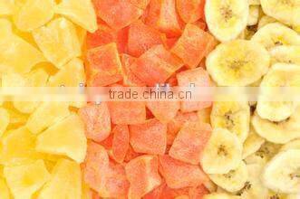 Good Performance fruits and vegetables vacuum drying machines (0086-13683717037)