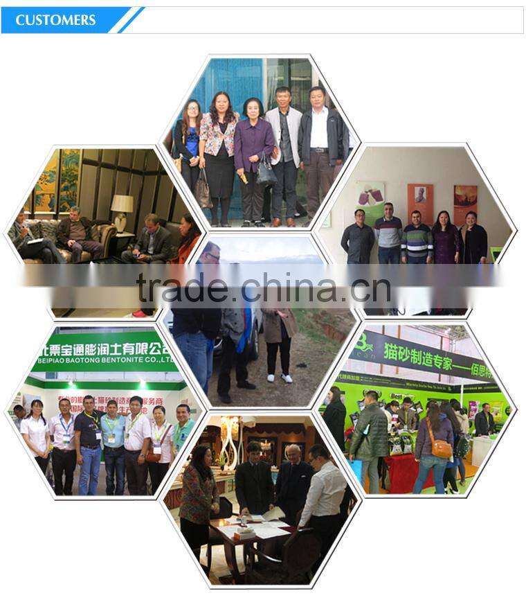 New Health Care Complex Mineral Cat Litter