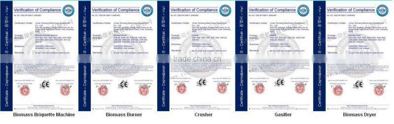 2015 Biomass Boiler China Supplier