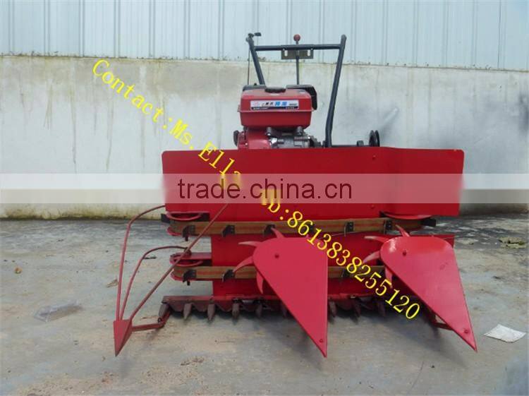 Farm using mini wheat crop cutting machine in Veitnam