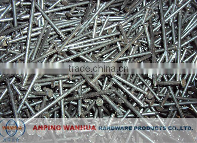 Wanhua--Common Iron Nail Manufacturer