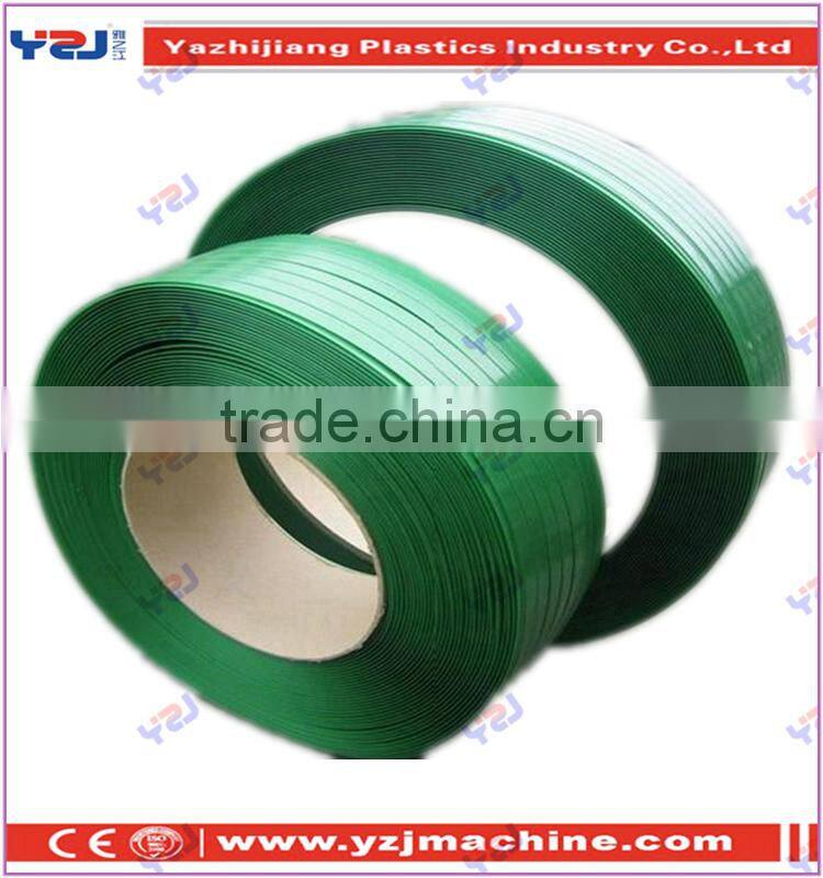 pet strap in uae