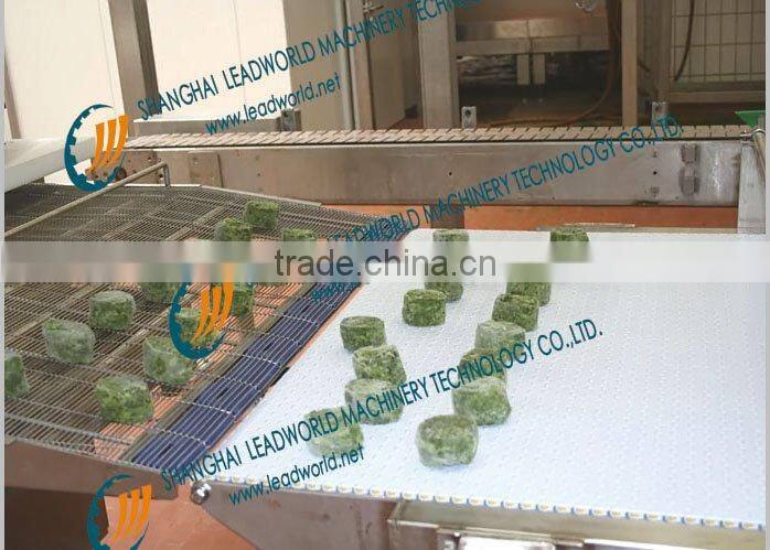Quick-Frozen Product Conveying System