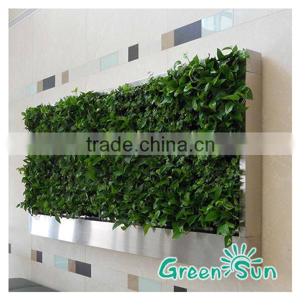 plant artificial walls / artificial green wall