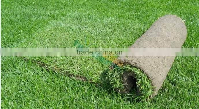 Dongguan factory price golf field faux garss turfs for sale