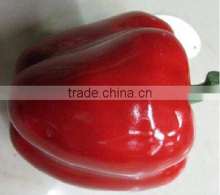 imitate vegetable for decoration