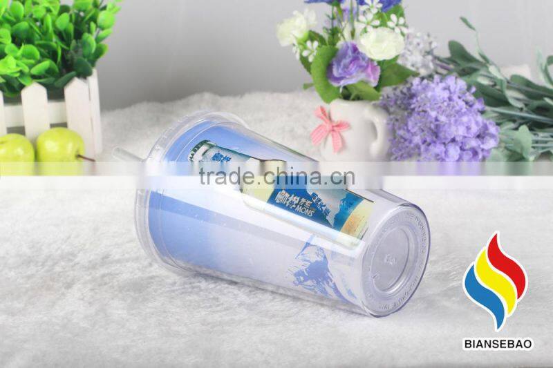 Double Wall Plastic Acrylic Paper Insert Tumbler With Straw