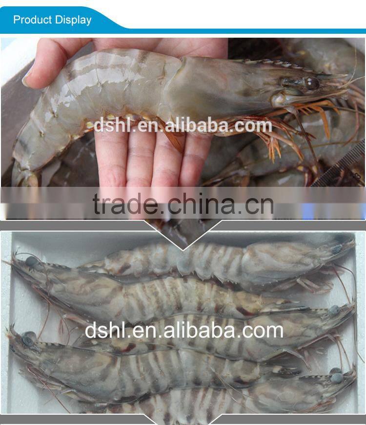 HL002 frozen shrimp price for your seafood
