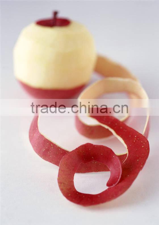 manual stainless steel fruit peeler with sucker