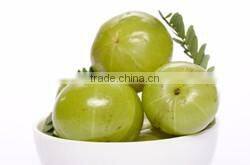 Fine Quality Amla Powder Manufacturer