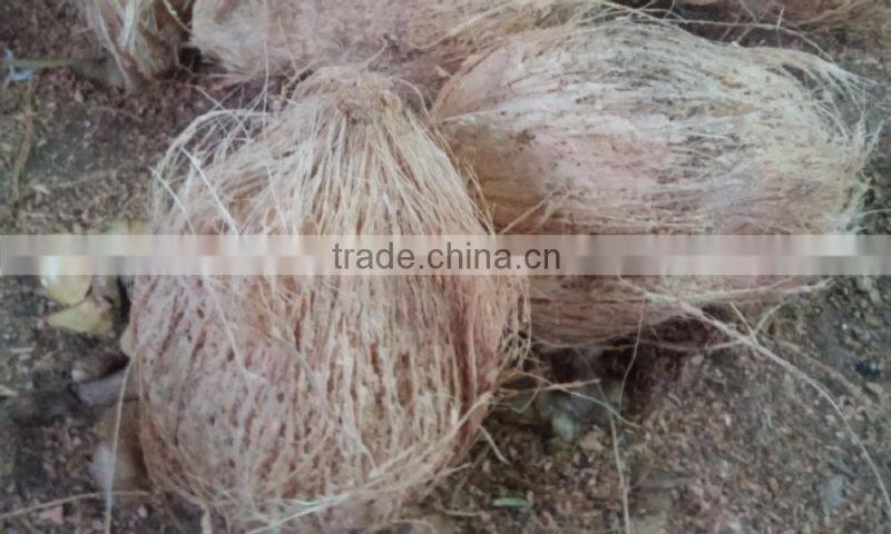 Fresh Coconut