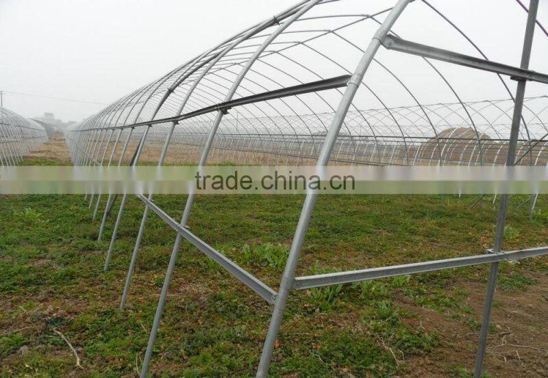 Commercial Greenhouse for agriculture