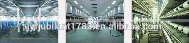 20d/1 SD Pes polyester monofilament yarn