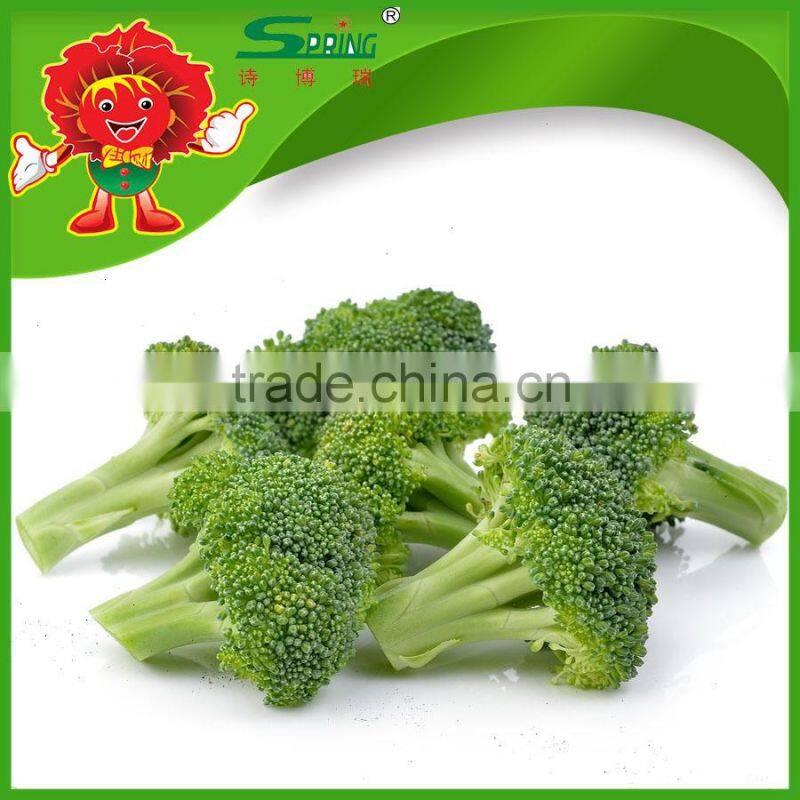 Fresh Broccoli_ Good Quality frozen broccoli spears