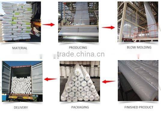 LDPE plastic rain cover for grape vineyard and orchard