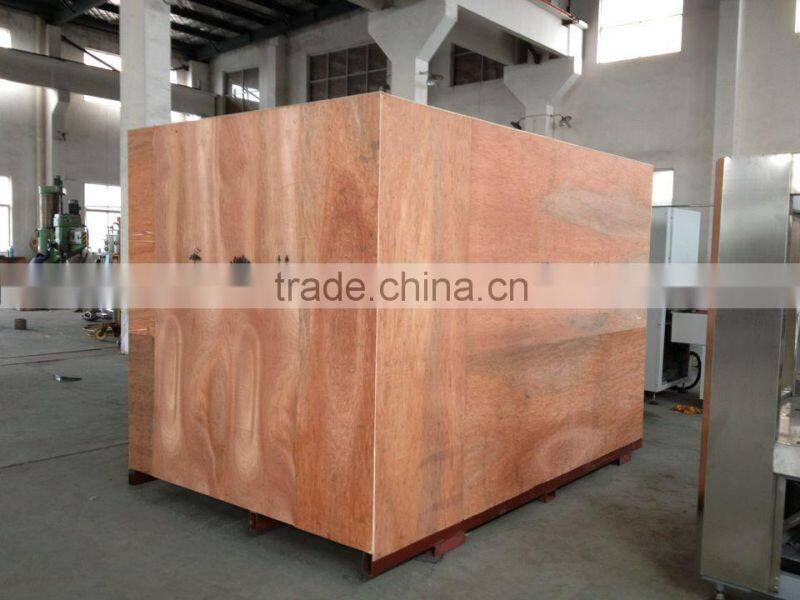 MIC-32-32-6 Micmachinery top quality monoblock water bottling machine beer bottling machines 8000-10000bph with CE