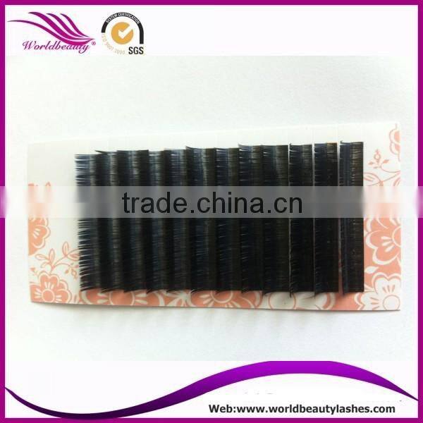 Top quality Wholesale price eyelash extension