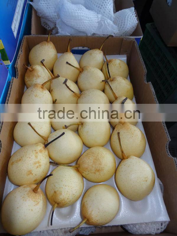 ya pear crown pear from fty