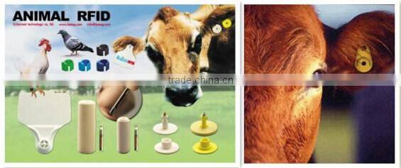 Factory price RFID Animal EID Tag For Tracking Livestock and Pet