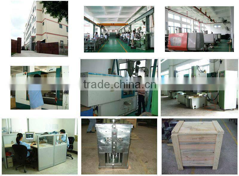 High Quality Auto Plastic Injection Mould Products