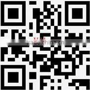 4 Wheel E Board Skateboard