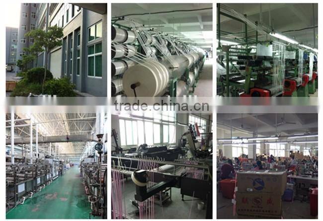 Colored Polyester Webbing Strap