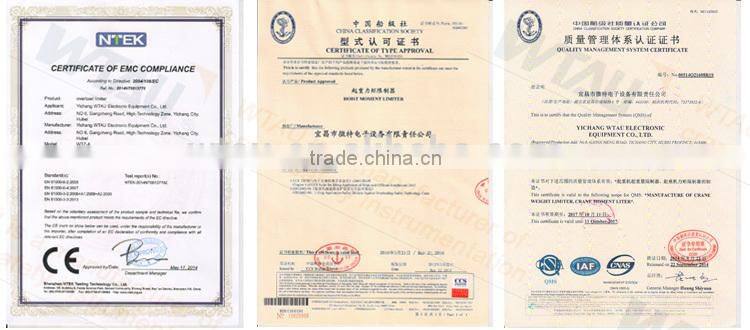 WTZ-A20 Electric Hoist Block Overload Limiter