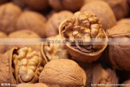 Fctory supply improve brain capsules walnut oil capsules, walnut oil