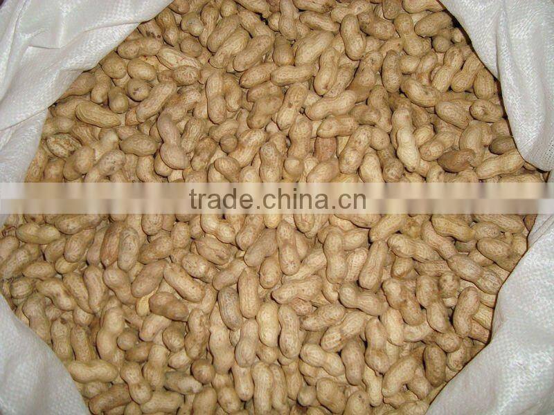 Washed Peanut in Shells 2012 crop