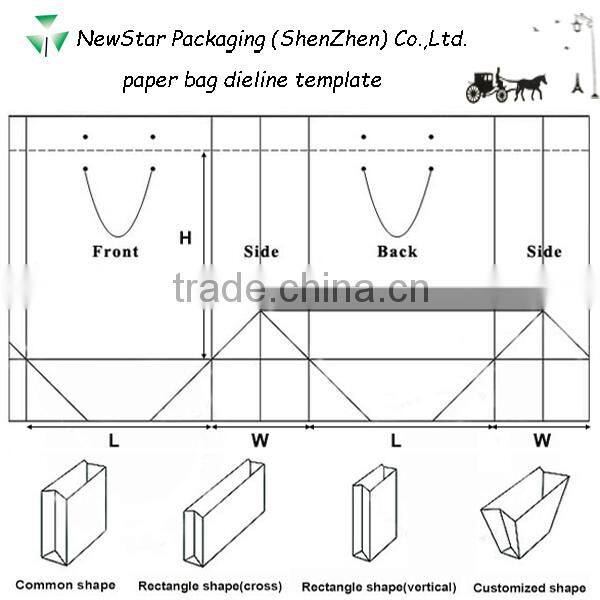 CMYK offset printing paper shopping bags matt lamination paper bag with rope handle