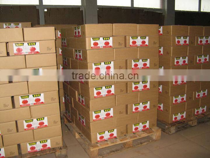 Dried Cherry for Decoration in Bakery, Chocolate