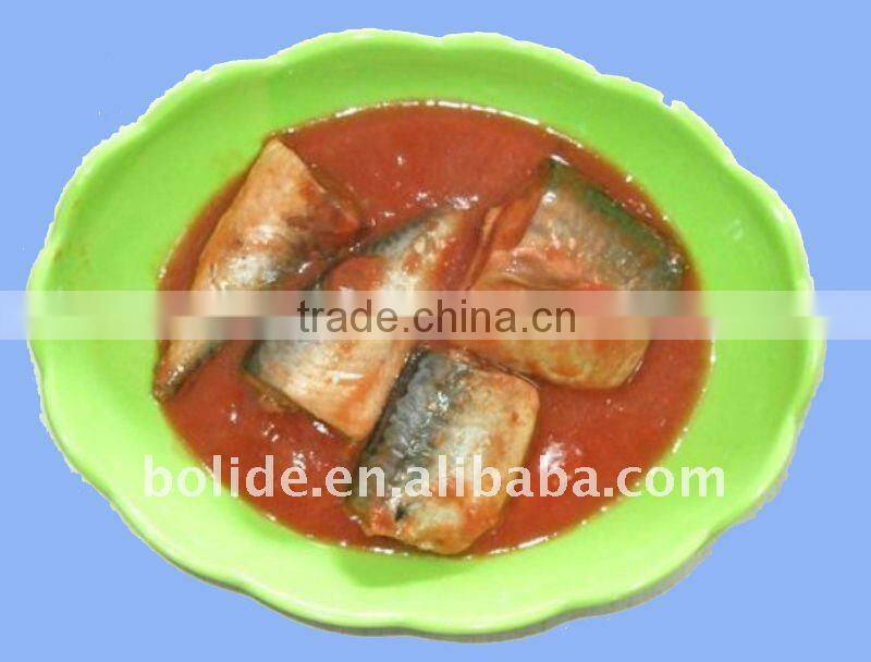 canned mackerel fish product