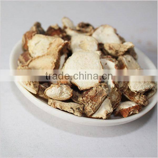 ground rhizoma kaempferiae