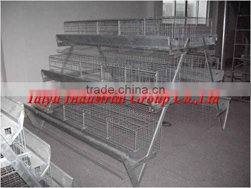 ladder type poultry chicken cage