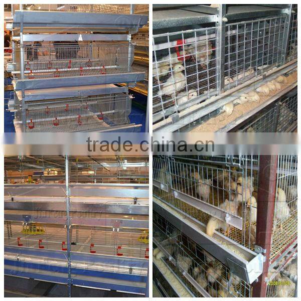 H Type Pullet Rearing Equipment 3tiers