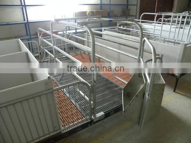 FL Sow Farrowing crate