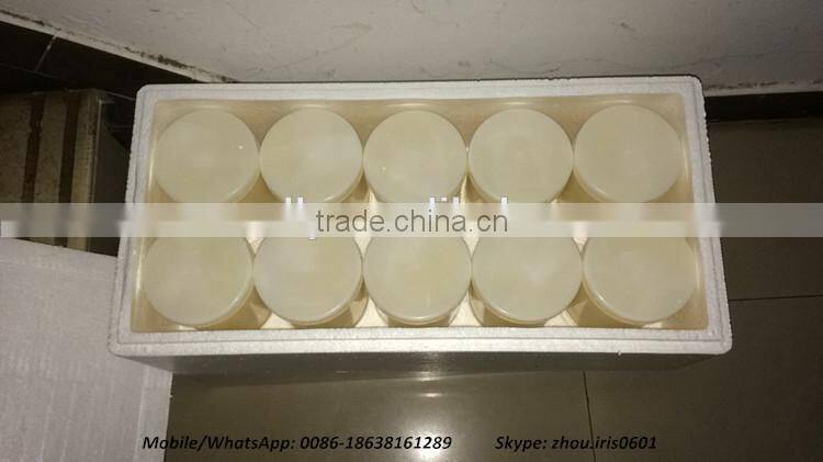Competitive Price Fresh Organic Royal Jelly 10-hda 1.8%
