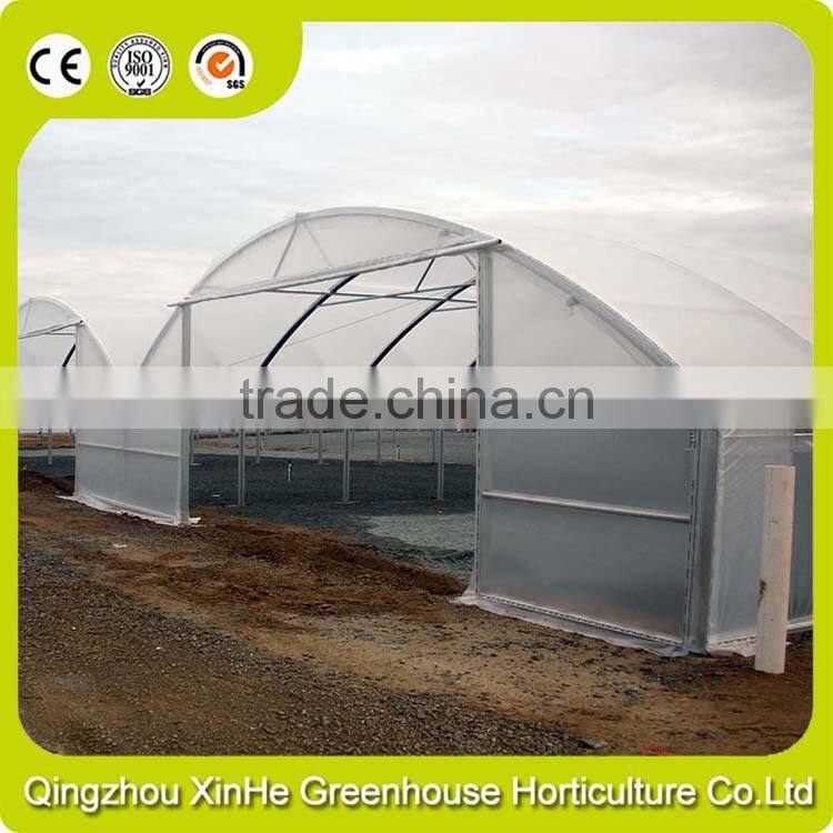 High Quality Tunnel Greenhouse