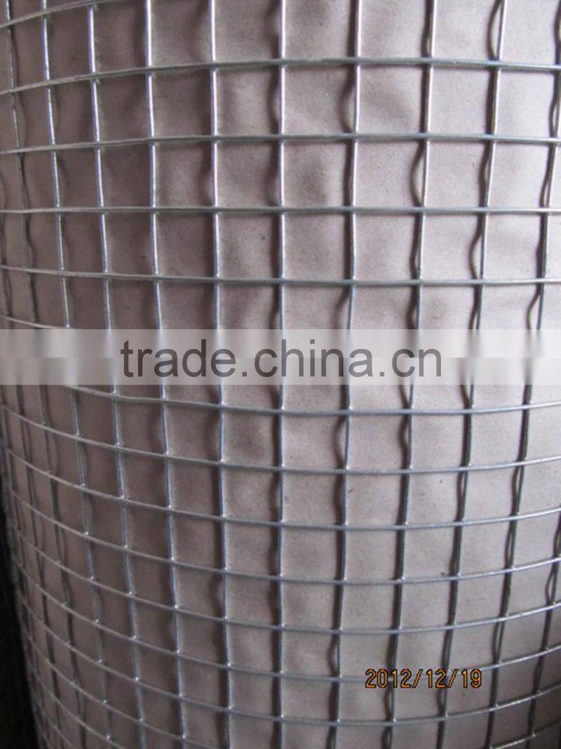 1" x 1" HDG welded wire mesh