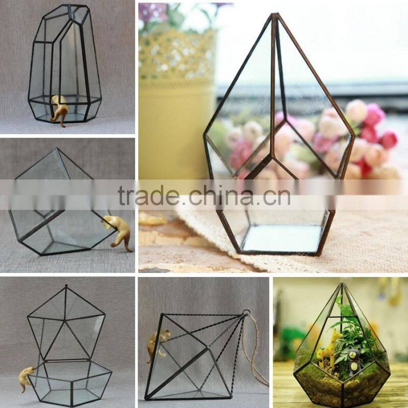 Micro landscape plant glass greenhouse clear geometric terrarium